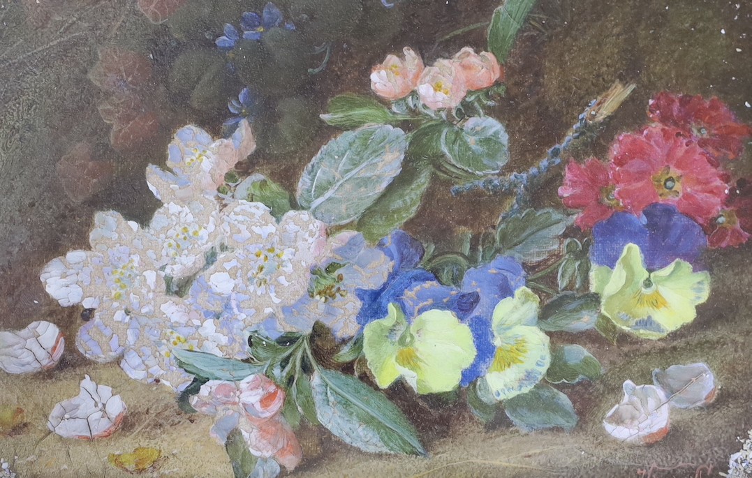 Vincent Clare (1855-1930), oil on canvas, Still life of blossom, signed, 13 x 21cm